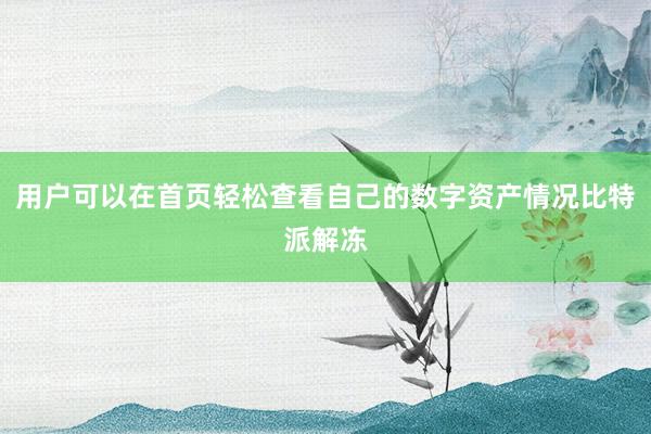 用户可以在首页轻松查看自己的数字资产情况比特派解冻
