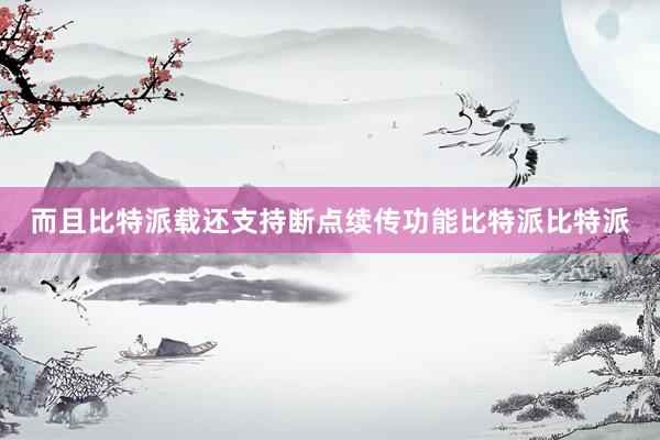 而且比特派载还支持断点续传功能比特派比特派