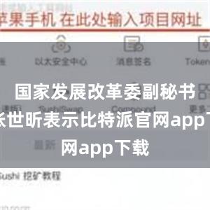 国家发展改革委副秘书长张世昕表示比特派官网app下载